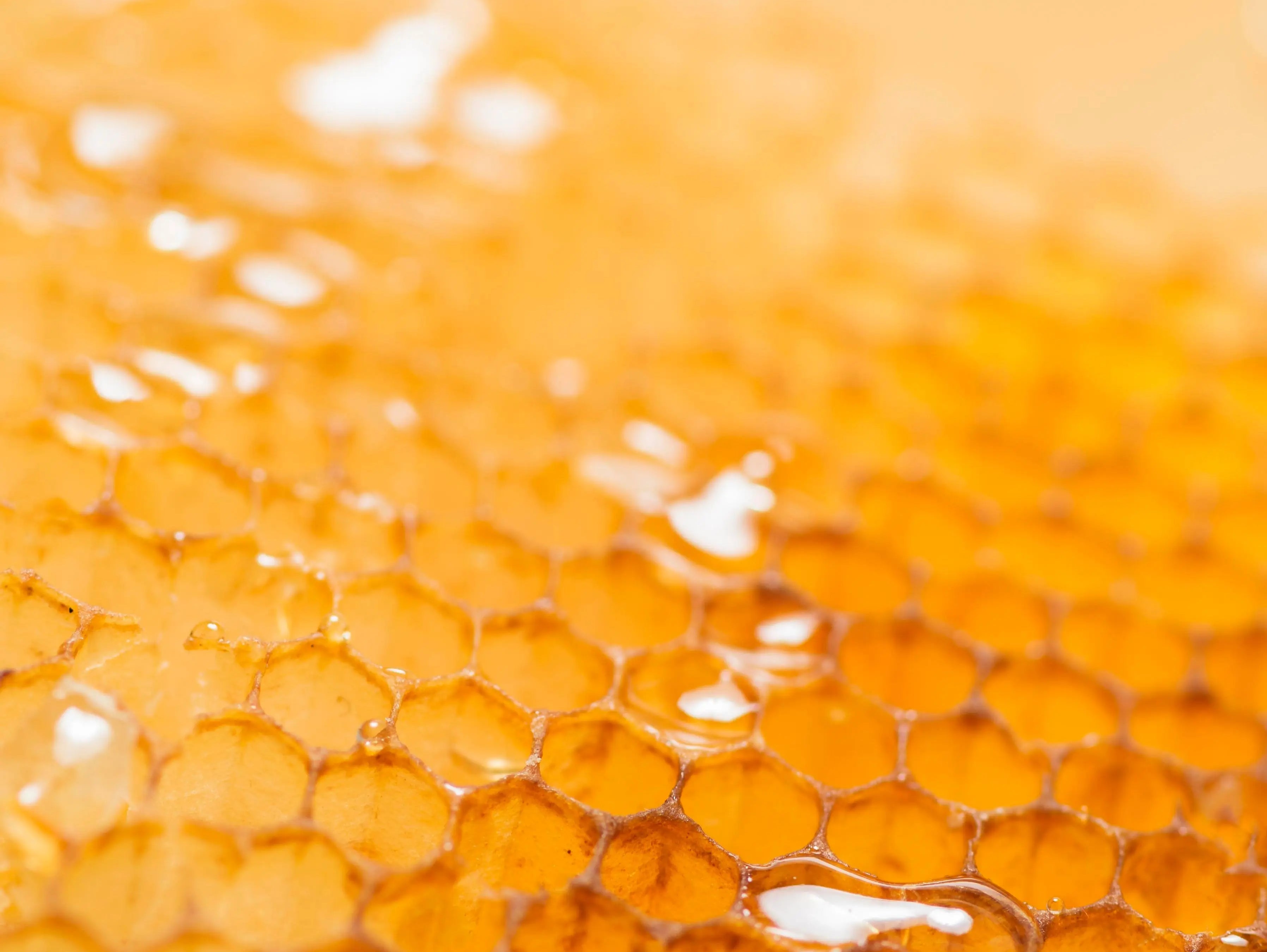 The Incredible Benefits of Milk and Honey for Your Skin - Cuccio