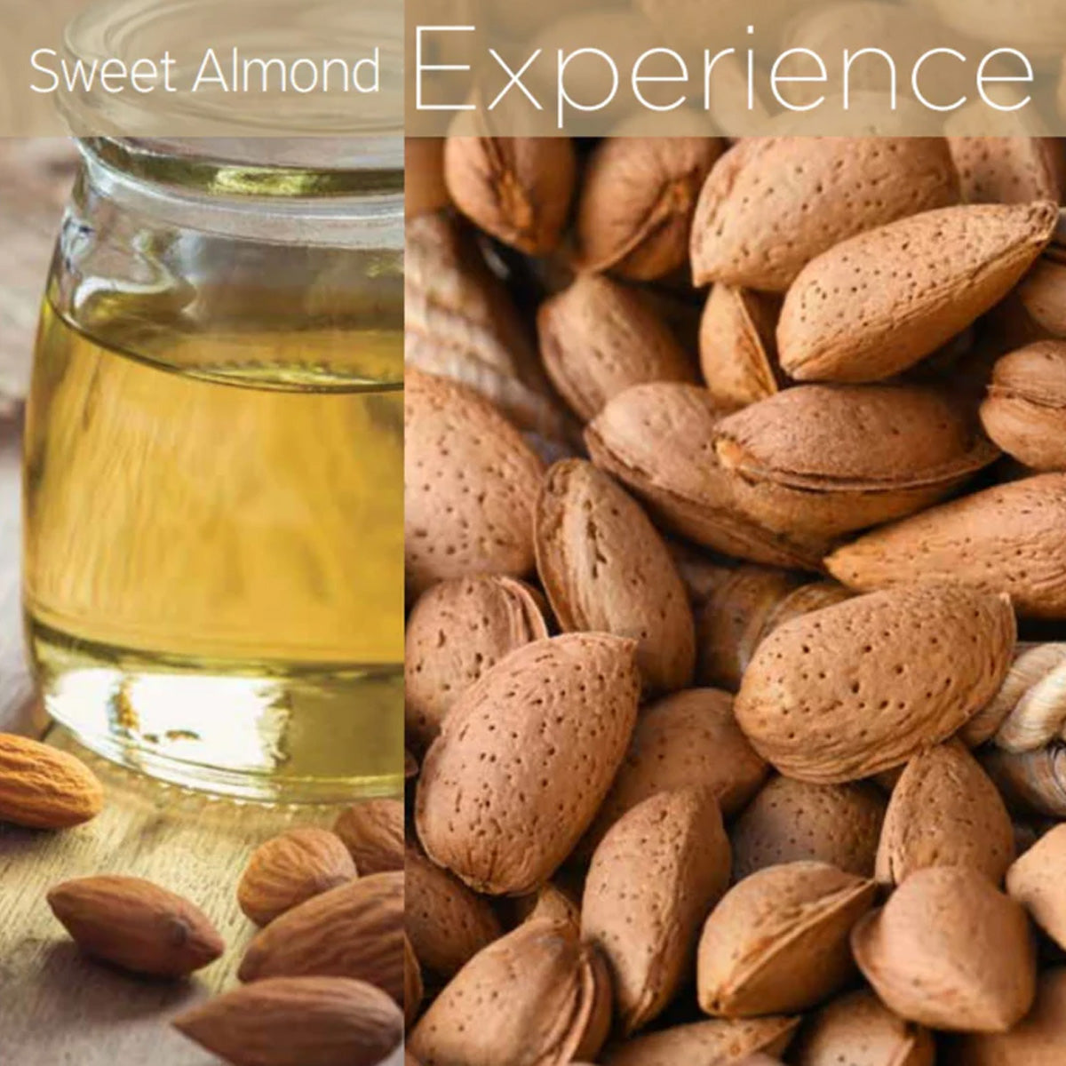 CUCCIO DRY OIL-SWEET ALMOND 3.78L + Cuccio