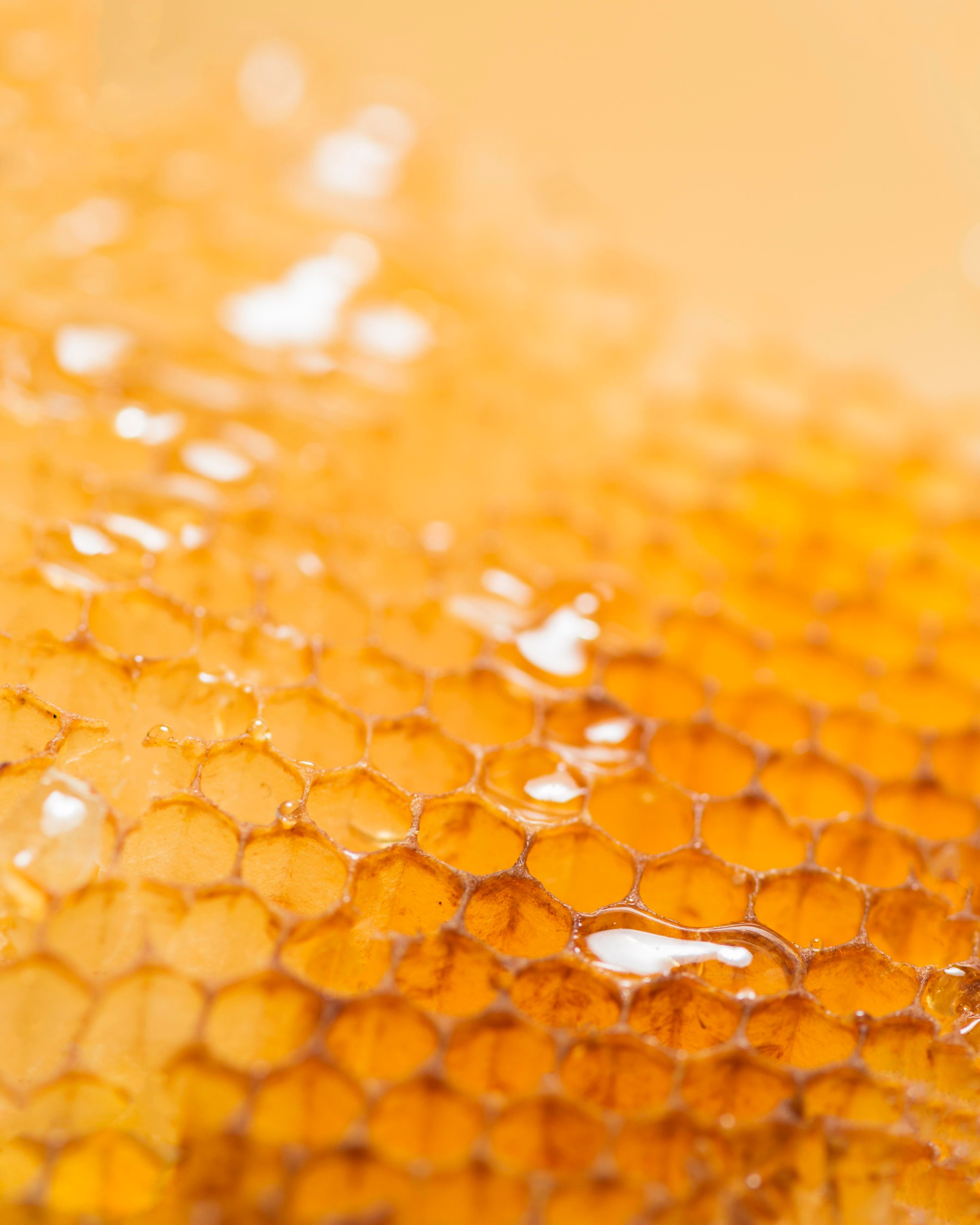The Incredible Benefits of Milk and Honey for Your Skin